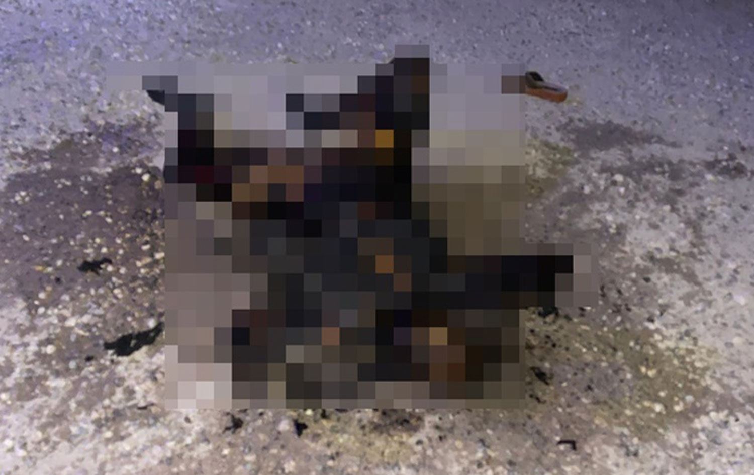 Urfa'da yol kenarında yanmış kadın cesedi bulundu