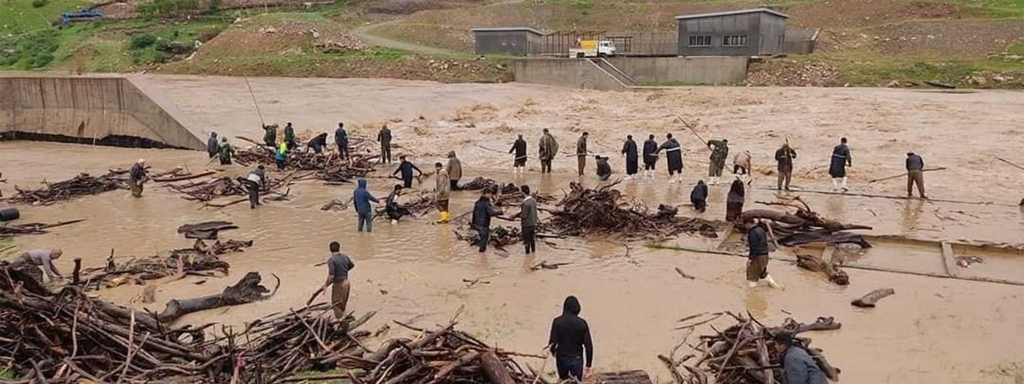 کۆکردنەوەی داری وشک لە رووبار