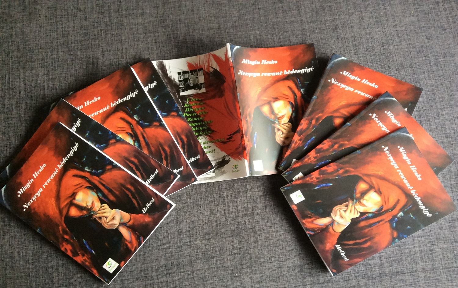 Mizgîn Hesko berhema xwe ya nû belav kir