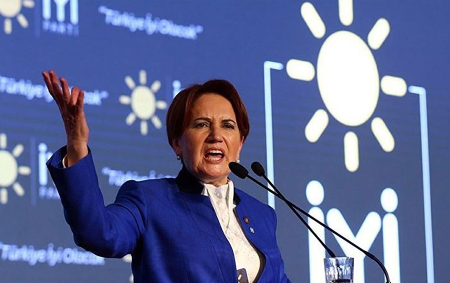 Akşener, İstanbul Sözleşmesi için Danıştay'a başvurdu