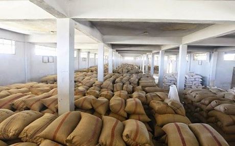 DAÎŞ dest danî ser berhema genim li Mêlebiyê