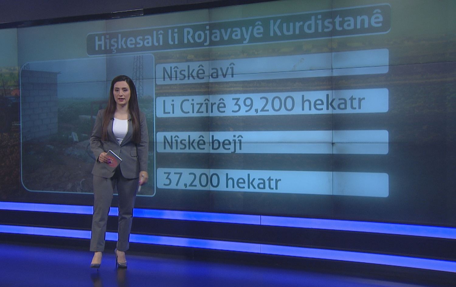 VÎDEOWALL - Hişkesalî tirseke mezin li cem cotkaran çêkiriye