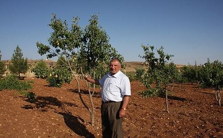 Cotkarekî Midyadî 20 donim erdê xwe yê hişk kir baxê fêkiyan