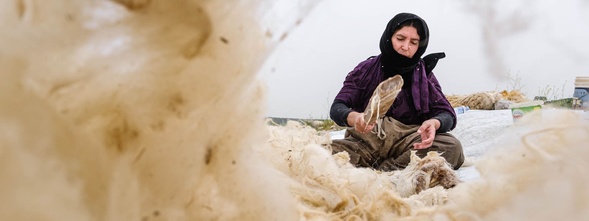 شووشتنەوەی خووری مەڕ لە هەنارە