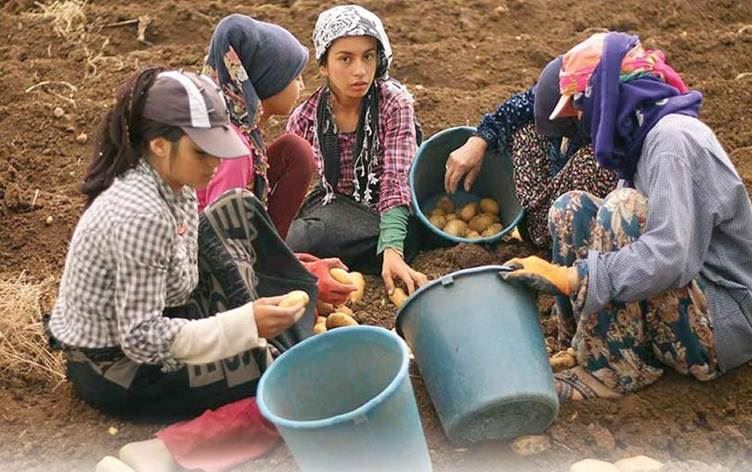 Di 7 salan de 494 zarokên karker jiyana xwe ji dest dan