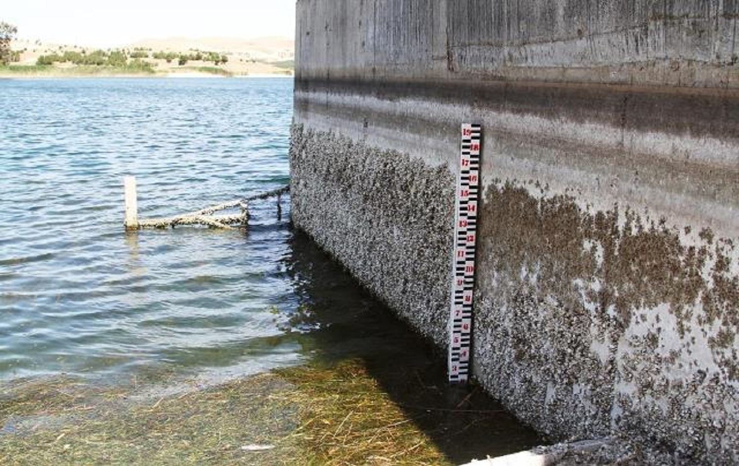 Ava Çemê Ferat bi awayekî metirsîdar kêm bûye