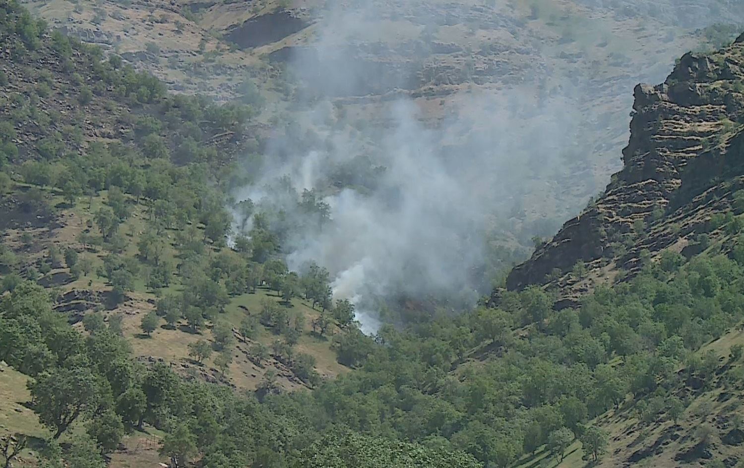 Ji ber êrişên Tirkiyê hezar donim rez û baxên Kurdistanê şewitîn