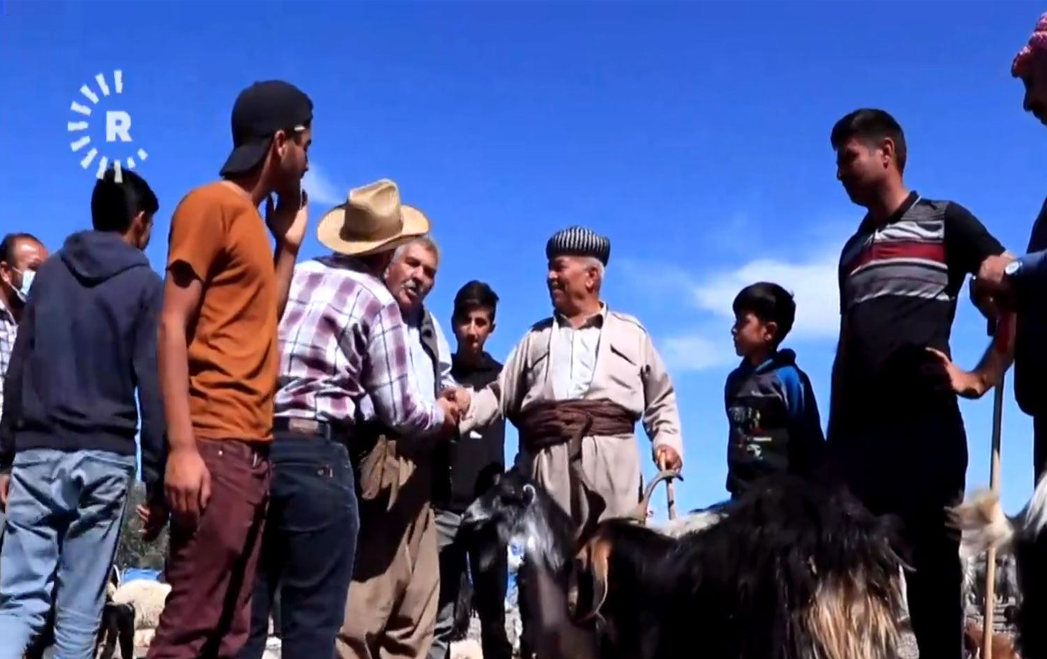 Çatışma bölgesinde köylüler küçükbaş hayvanlarını ucuza satıyor