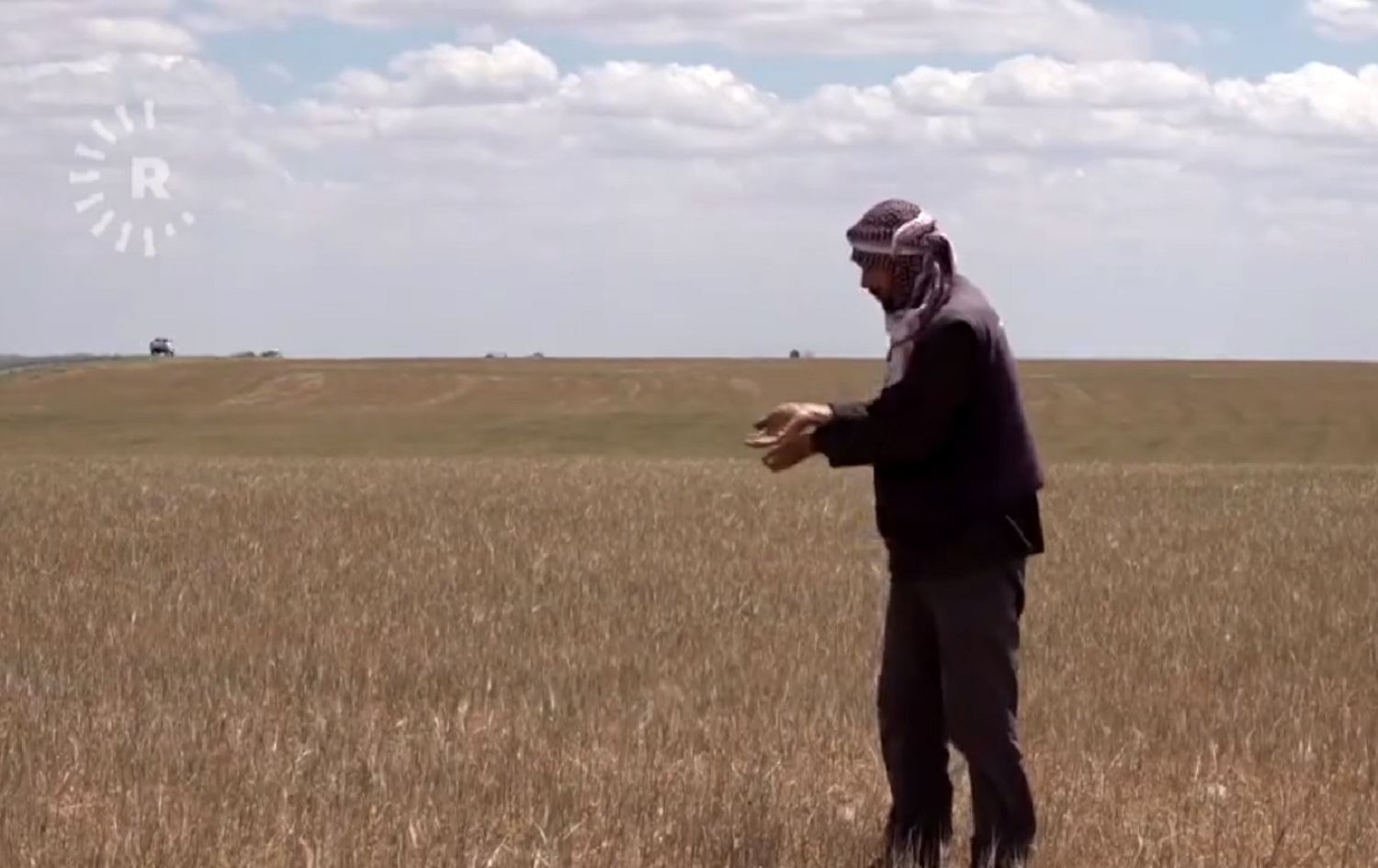 Cotkarên Rojavayê Kurdistanê ji ber hişkesaliyê dinalin