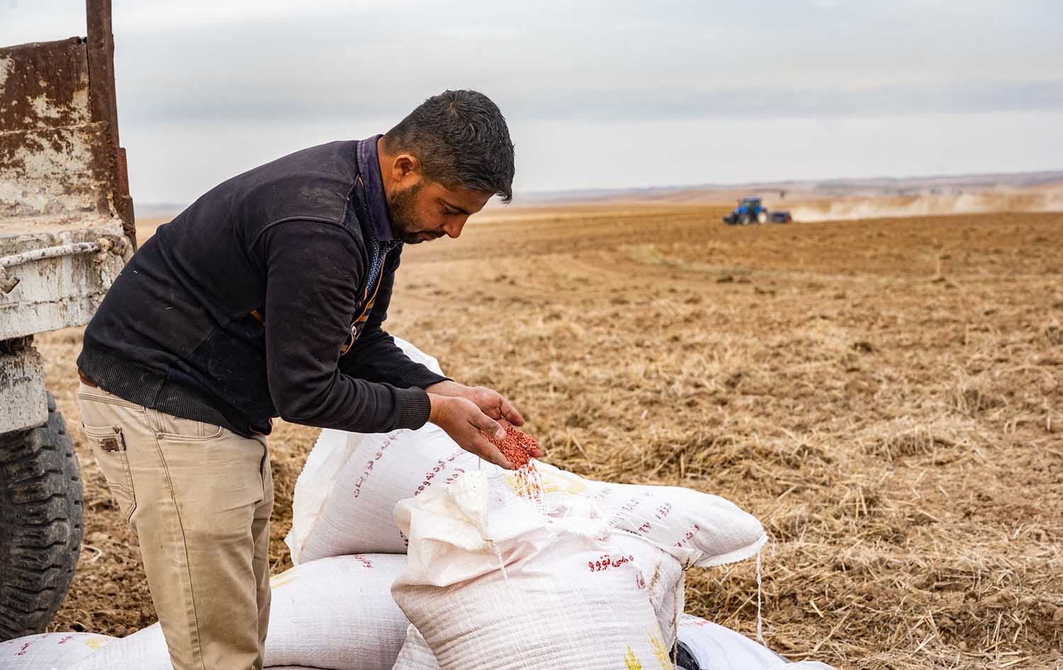 وەزارەتی کشتوکاڵ: بەهۆی وشکەساڵی هەندێک جووتیار بەشی بنەتۆویش بەرهەمیان نابێت