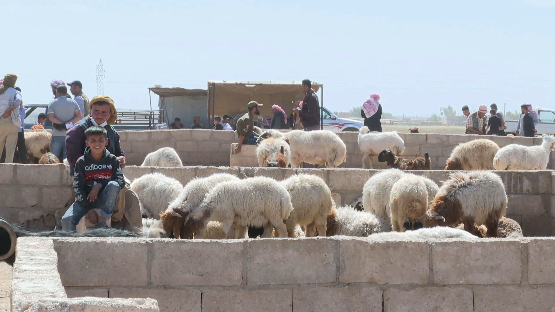 Li Rojava ji ber nebûna êm, pez bi erzanî tê firotin