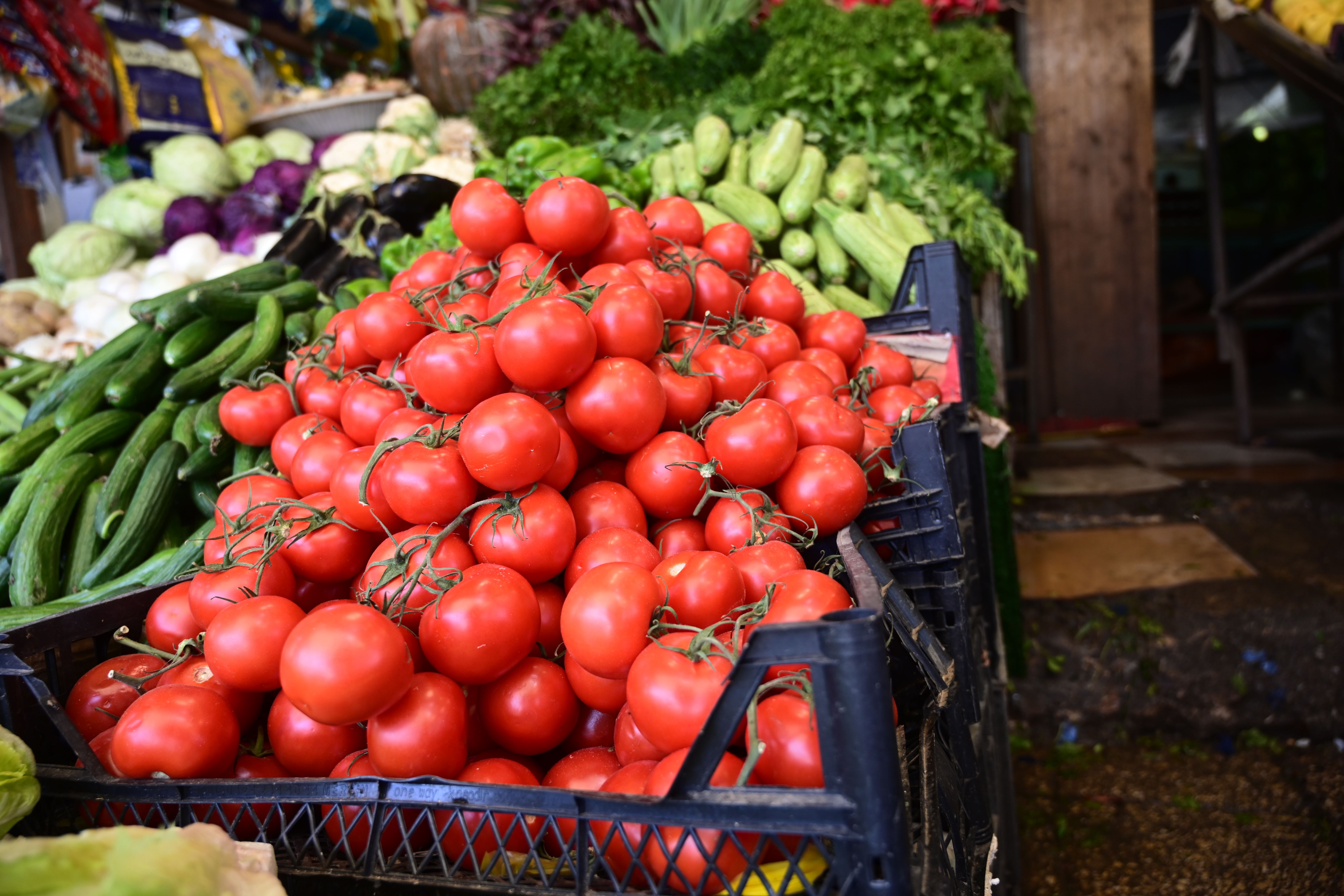 عەلوەی هەولێر: لە هەفتەی داهاتووەوە نرخی تەماتە دەبێتە 300 دینار
