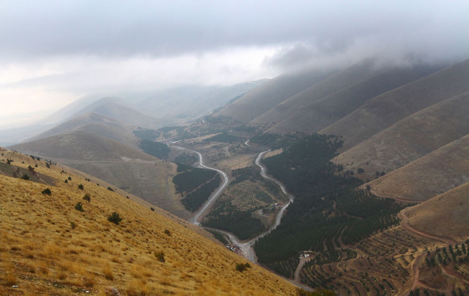 دارستانی سلێمانی: هەموو دارستانەکانی ئەزمڕ، گۆیژە و دەباشان یەک کرێکاریان هەیە