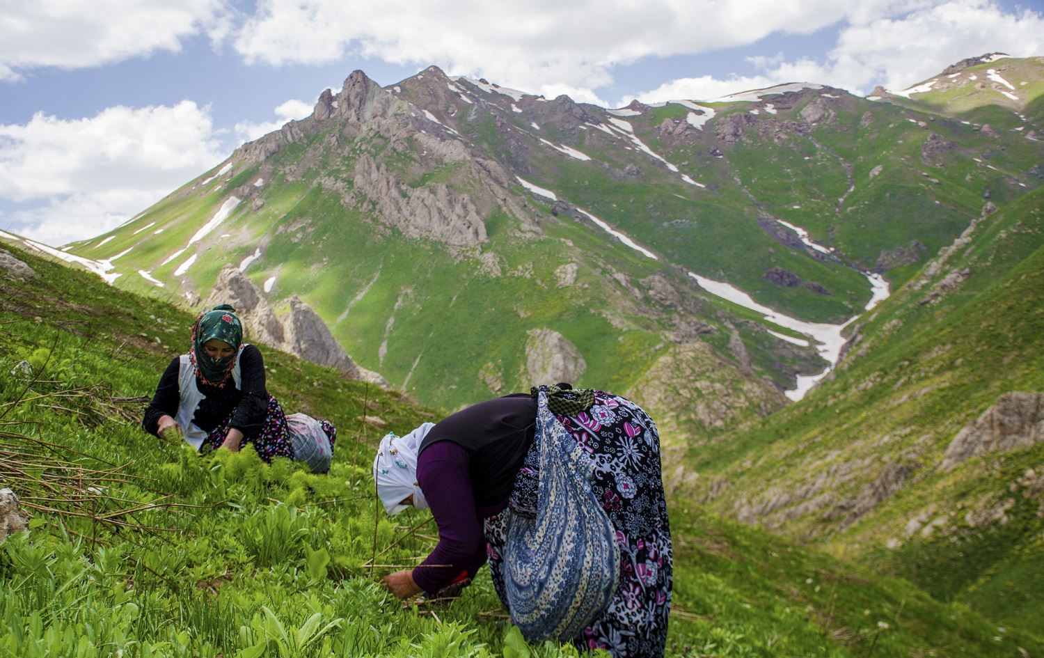 Li zozanên Feraşînê jinên Kurd ‘Siyaboyê’ kom dikin