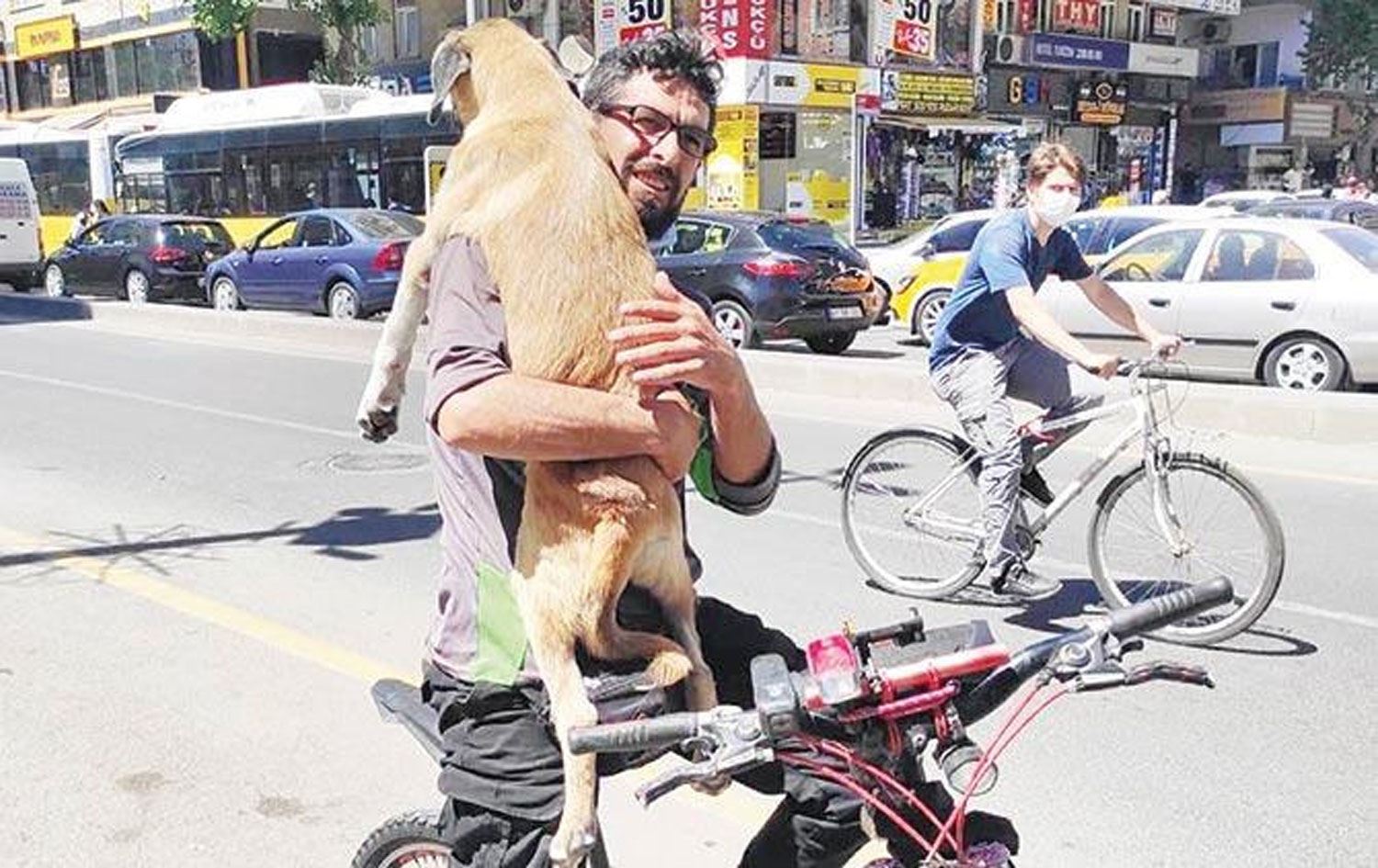 DİYARBAKIR - Yaralı köpeği taksiler almayınca bisiklet kiraladı