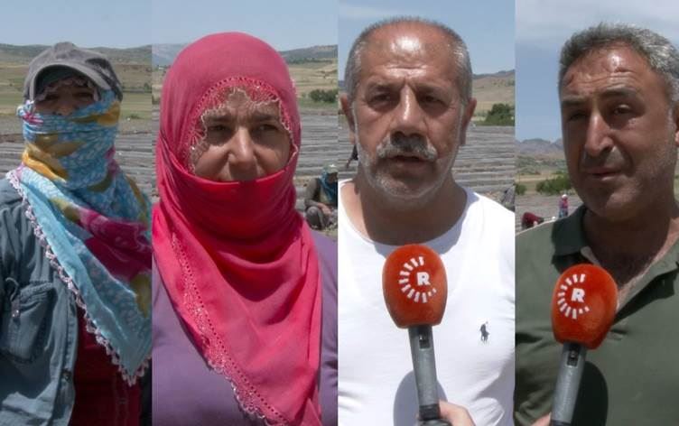 Hişkesalî û nebûna elektirîkê zerar gihande cotkarên Dêrsimê