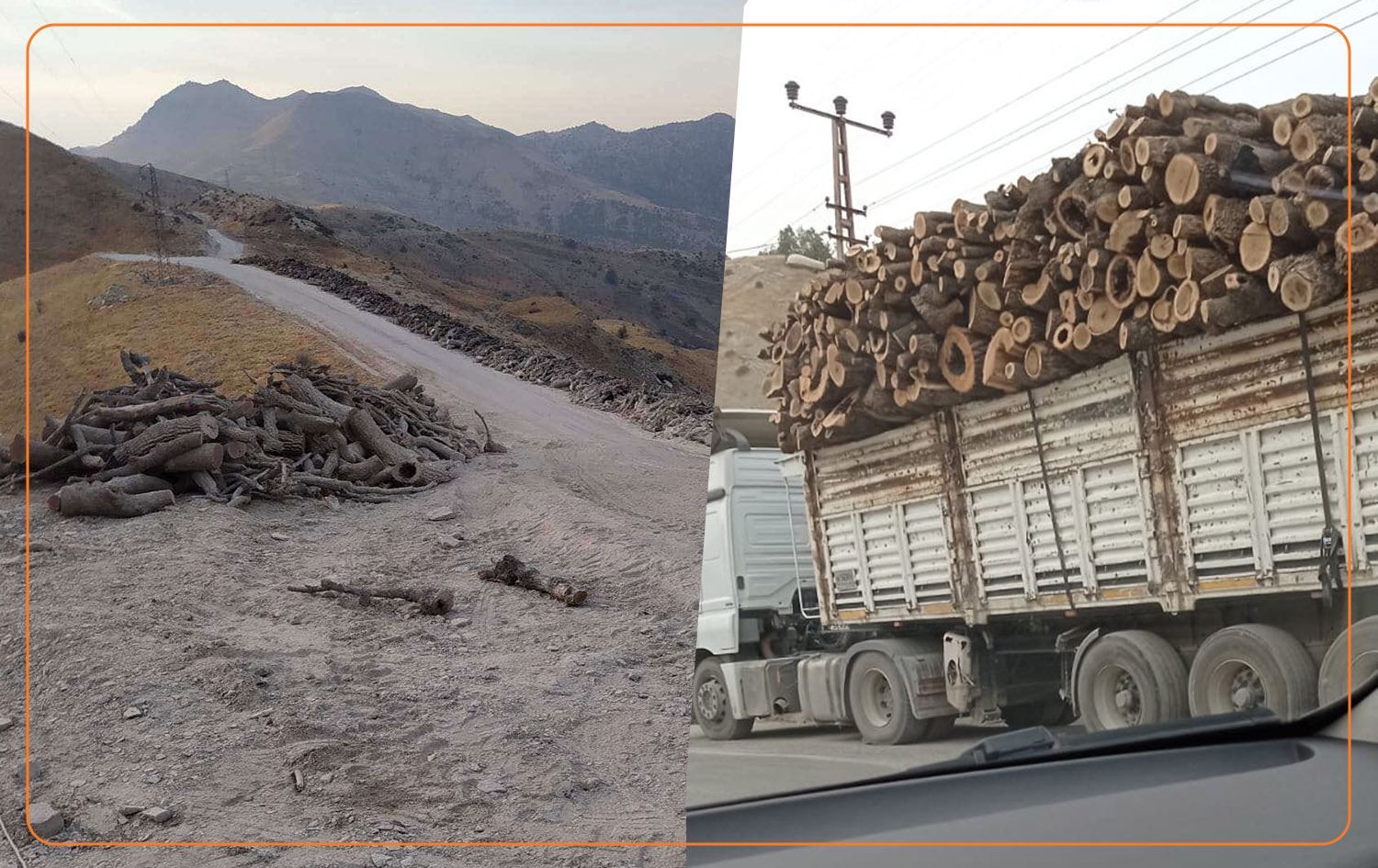 'TSK, Kürdistan Bölgesi’ndeki ağaçları yol yapım bedeli karşılığında şirketlere veriyor'