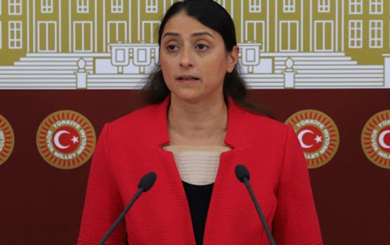 Feleknas Uca ji alîkarê serokkomar aqûbeta jinên Êzidî pirsî