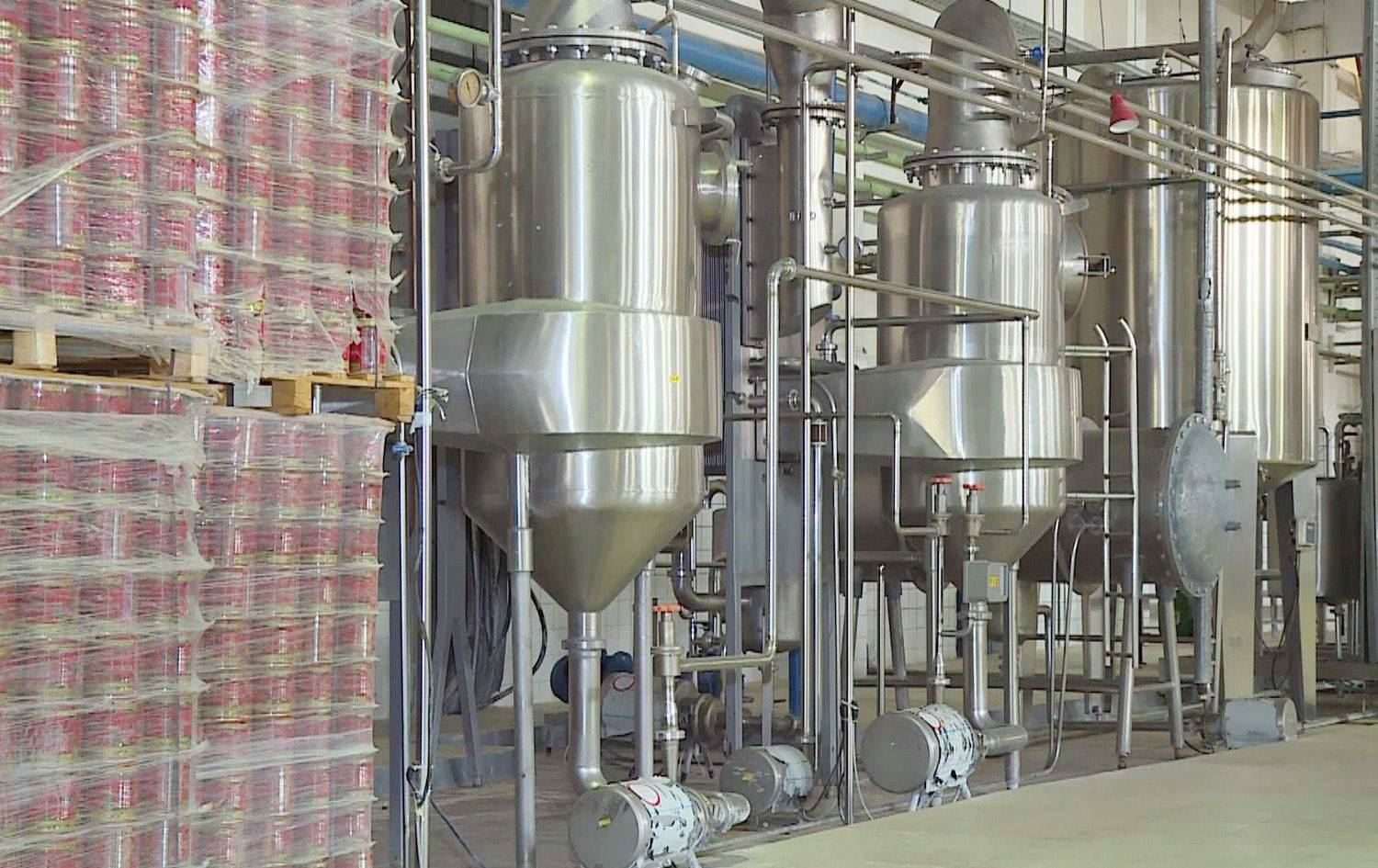 کارگەی هەریر: دەتوانین رۆژانە 20 تۆن دۆشاوی تەماتە بەرهەمبهێنین