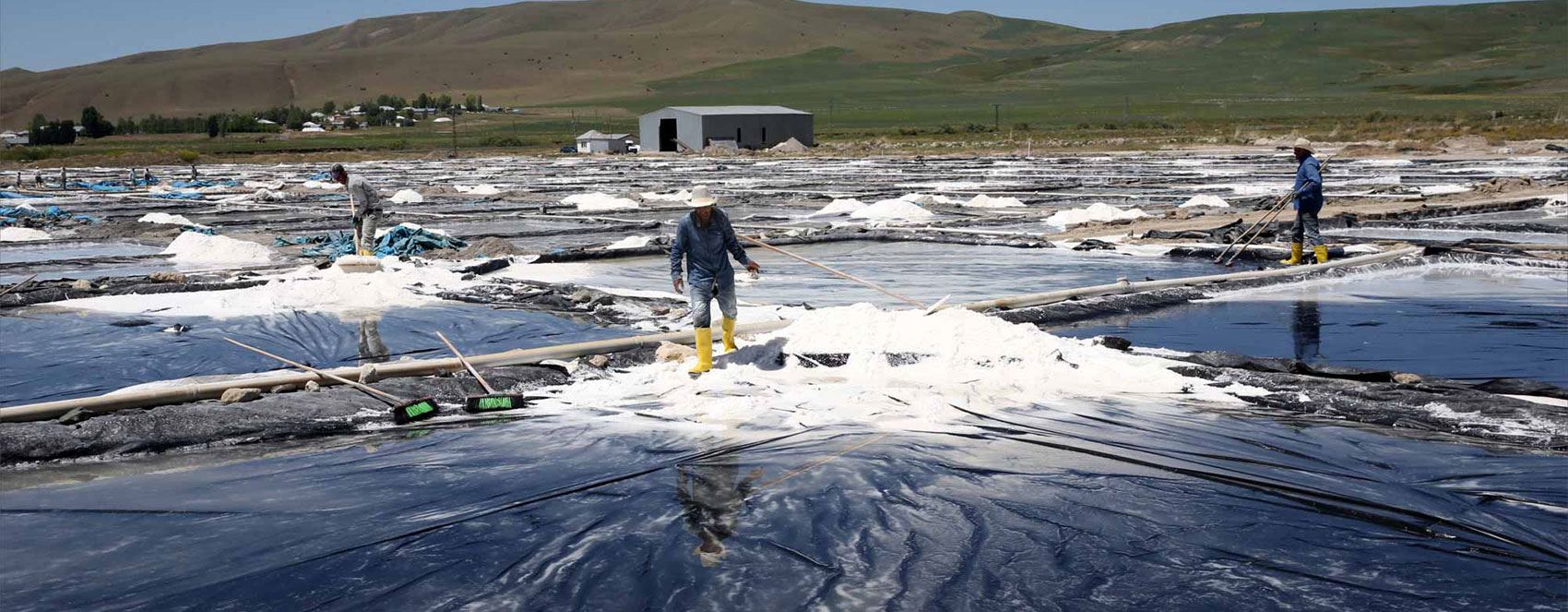 کۆکردنەوەی خوێ لە باکووری کوردستان