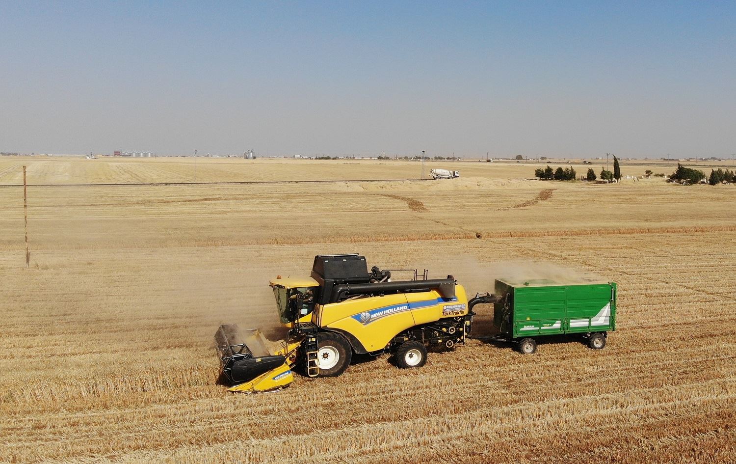 Li Deşta Mêrdînê dirûna genim dest pê kir