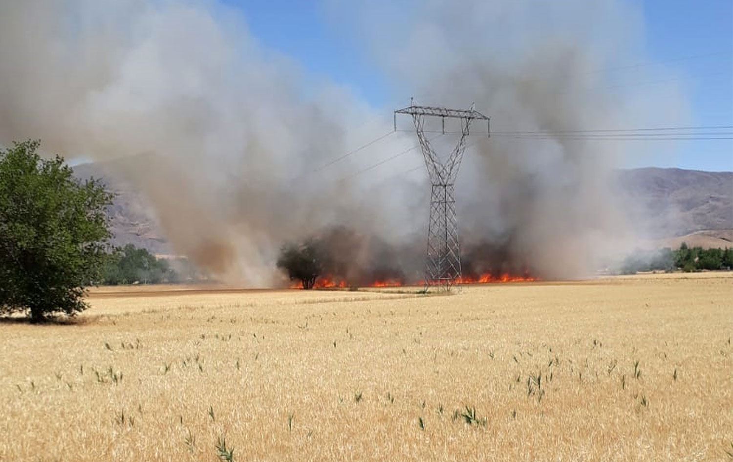 Elazığ'da 100 dönüm buğday ve arpa ekili alan yandı