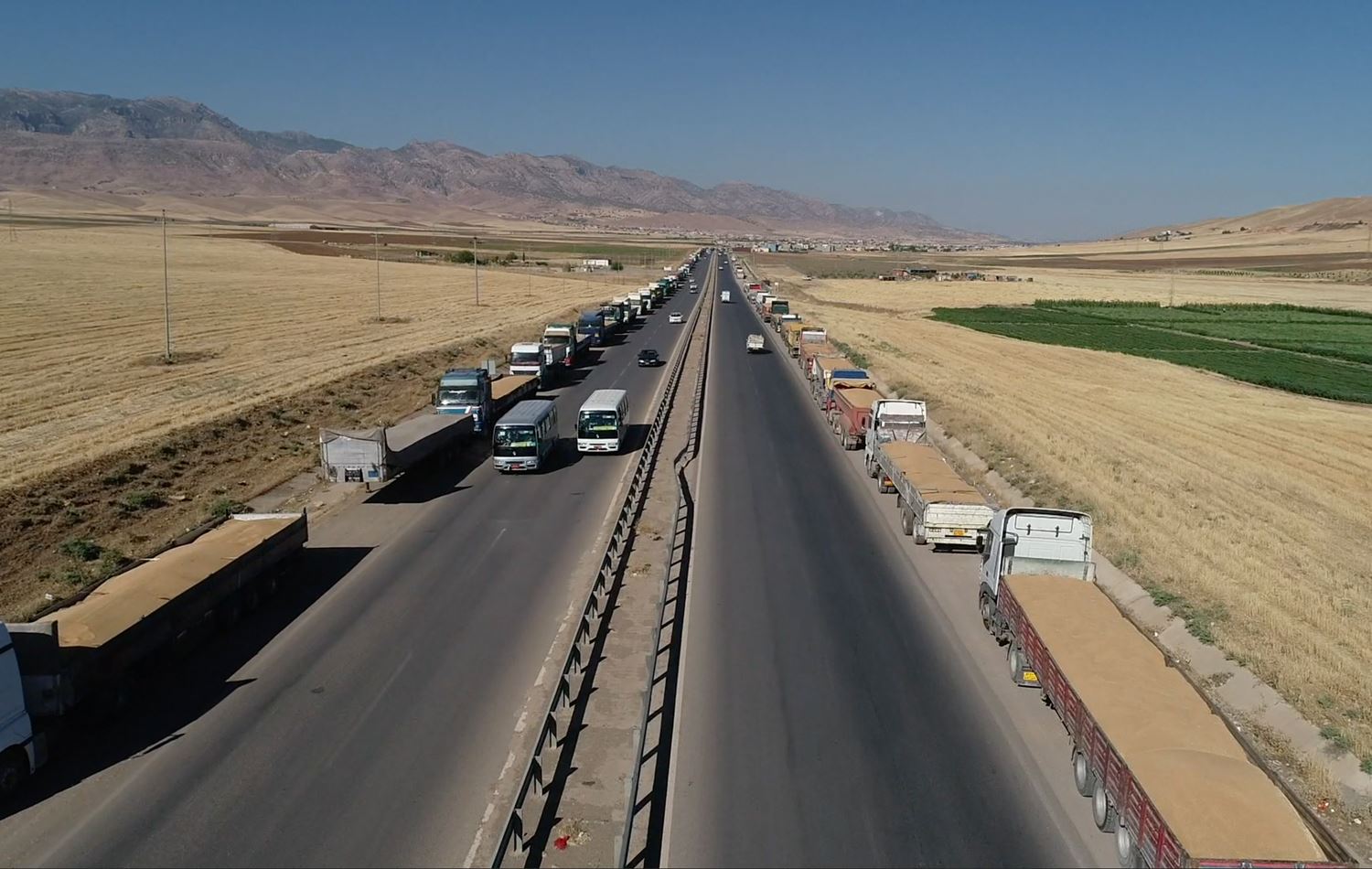 Wheat farmers struggle to sell their crops as harvest season ends