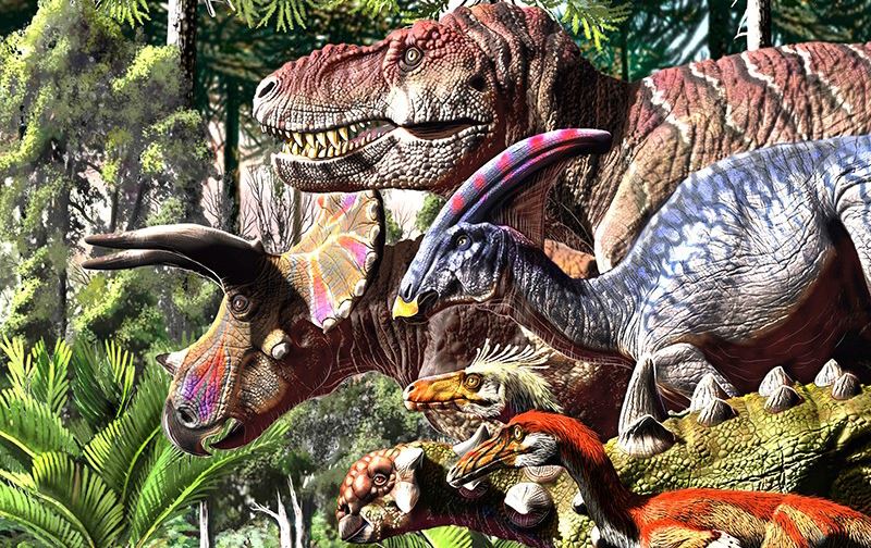 توێژینەوەیەک: دایناسۆرەکان ملیۆنان ساڵ بەر لە کەوتنی نەیزەک کەمیان کردووە