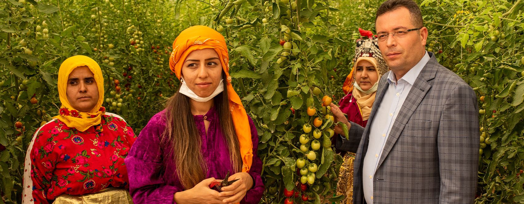 FOTO - Antep’in eşsiz sebze ve meyveleri 'Freze Dry' teknolojisi ile dünyaya ihraç ediliyor