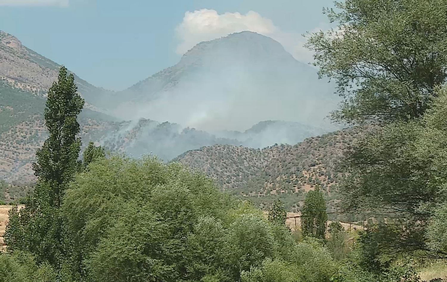 Ji ber operasyona Tirkiyê bi sedan donim zevî şewitîn
