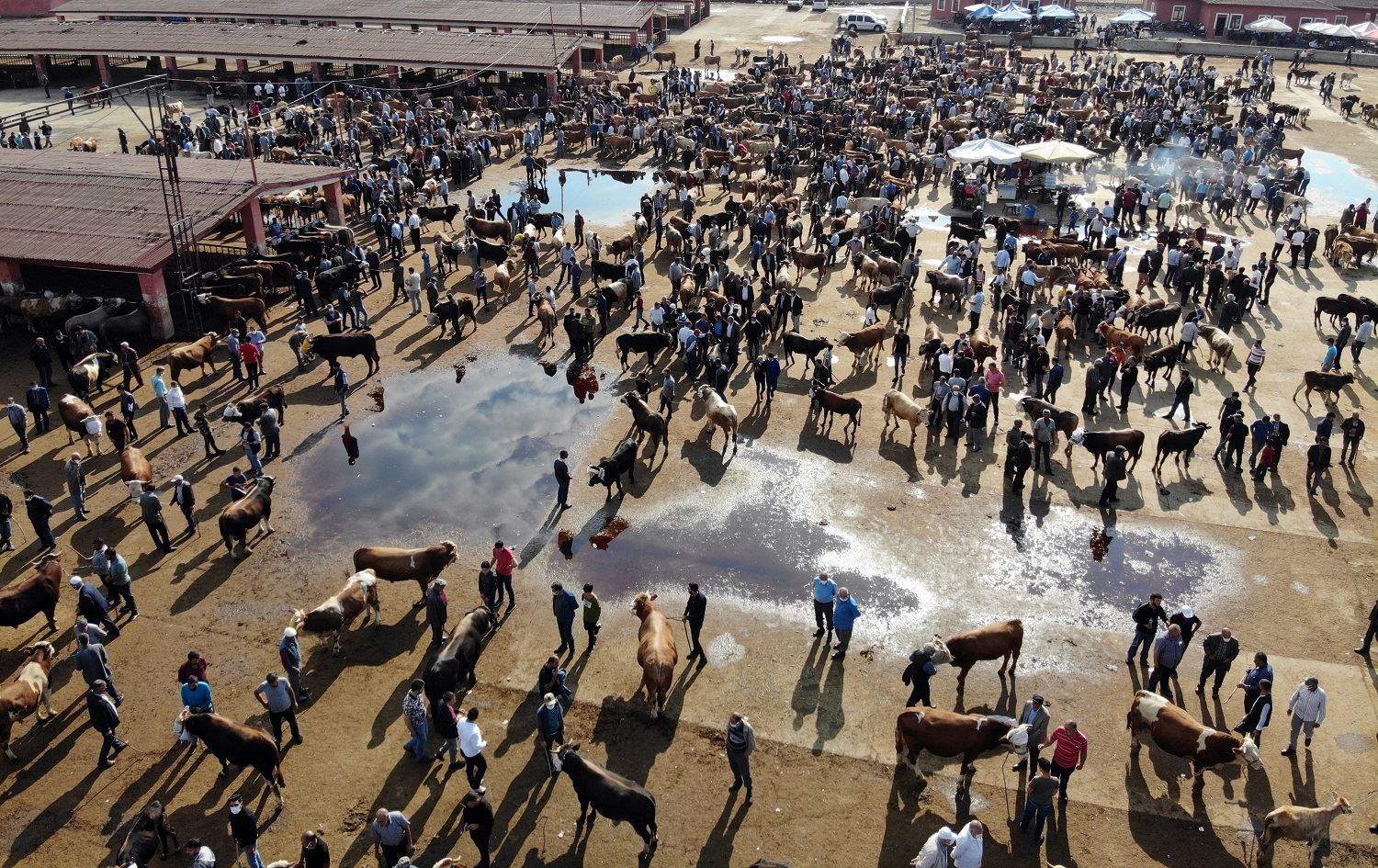 Li Bakurê Kurdistanê berî cejnê bazara ajelan germ bû