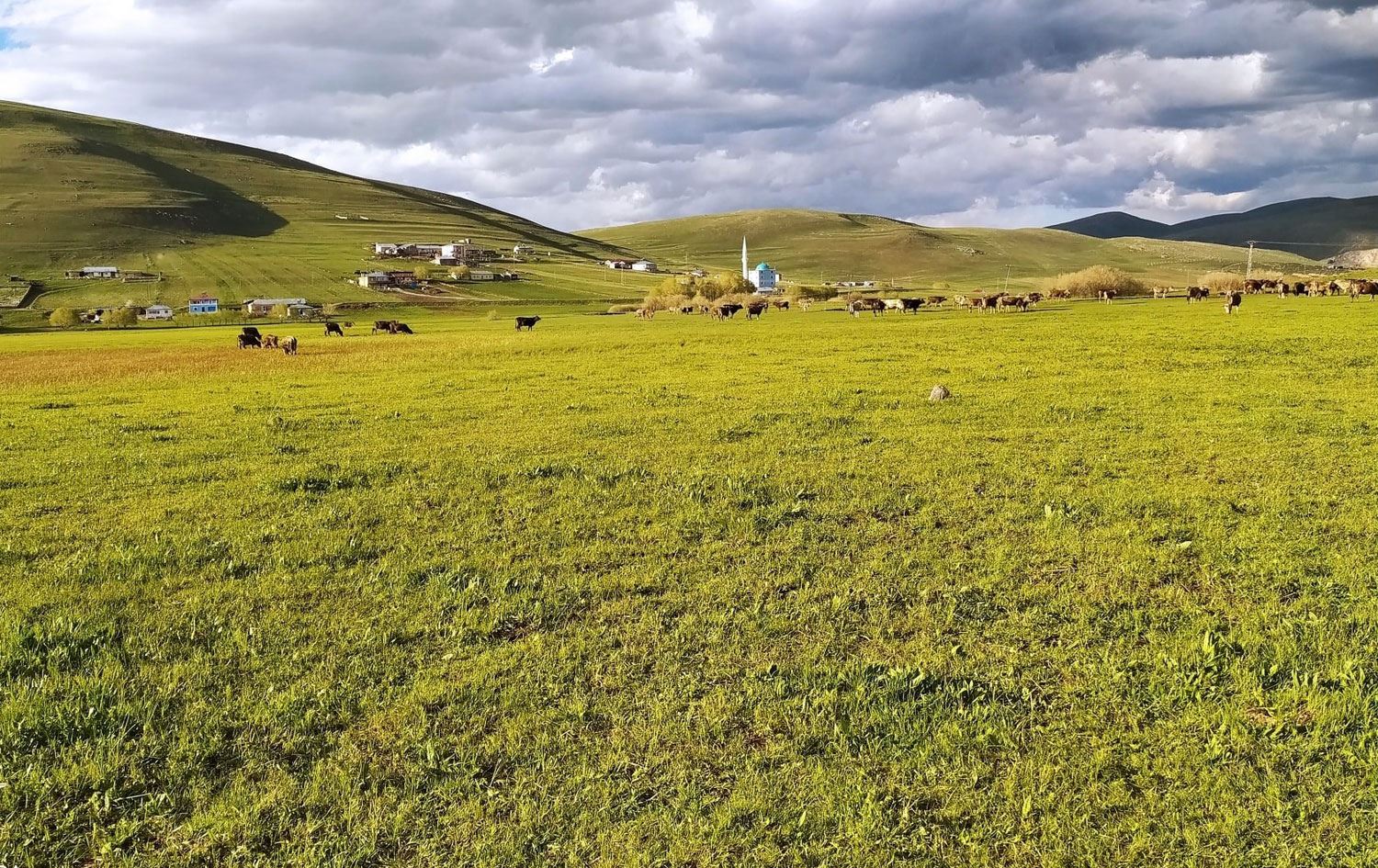 Ardahan'da bir köy karantina altına alındı