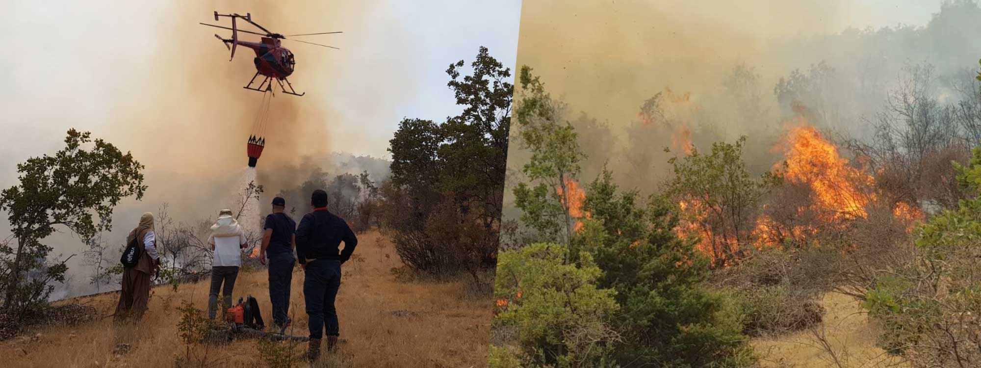 WÊNE - Li Duhokê hewldanên vemirandina agirê li daristanên Zawîte