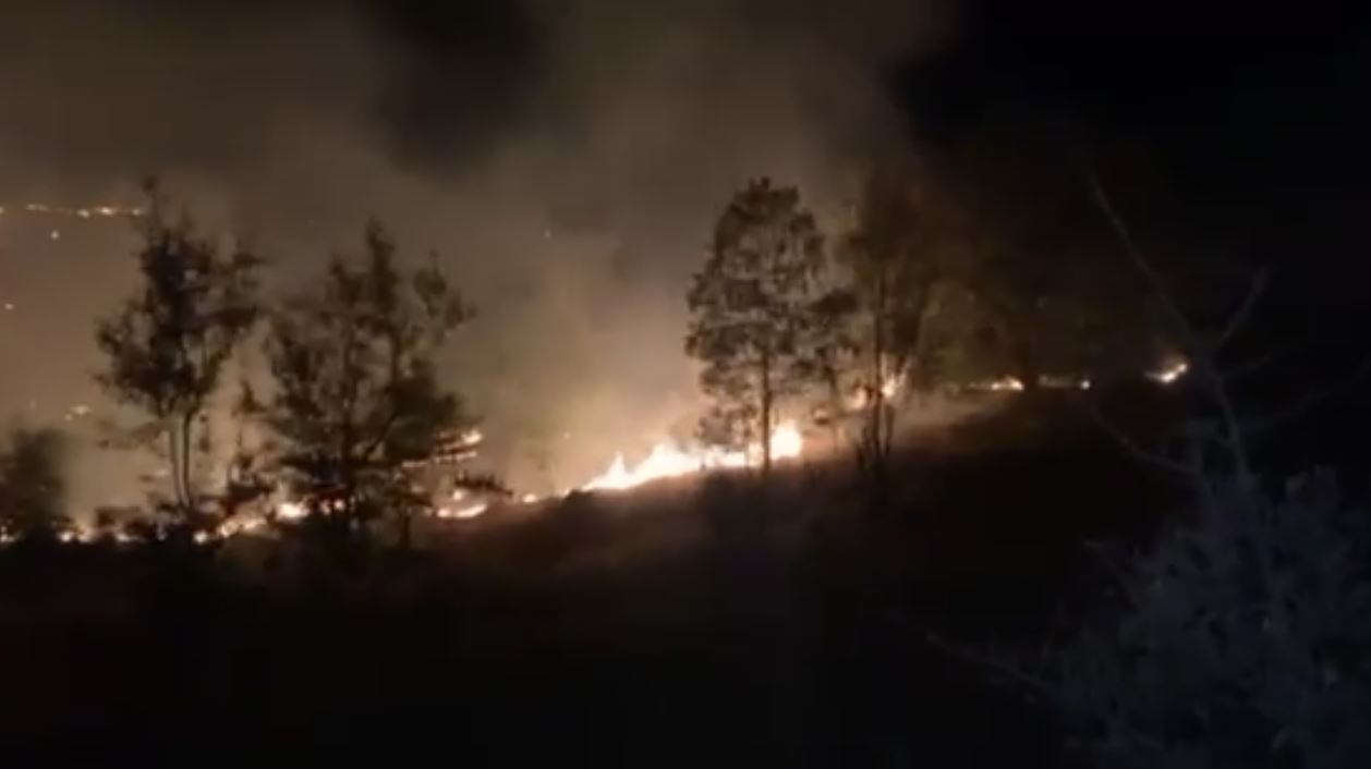 بەهۆی بۆردوومانەوە لە 24 کاژێردا 'زیاتر لە 670' دۆنم زەوی لە بەرواری باڵا سووتاون