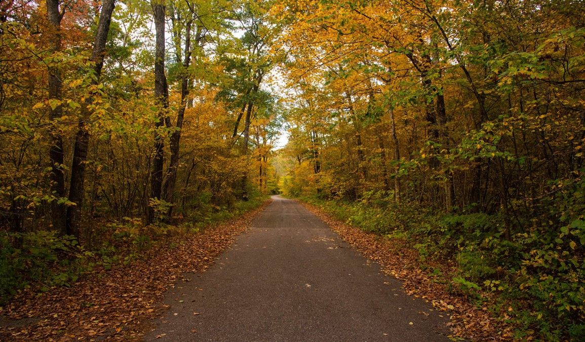 Türkiye'de 6 ilde ormanlara giriş yasaklandı