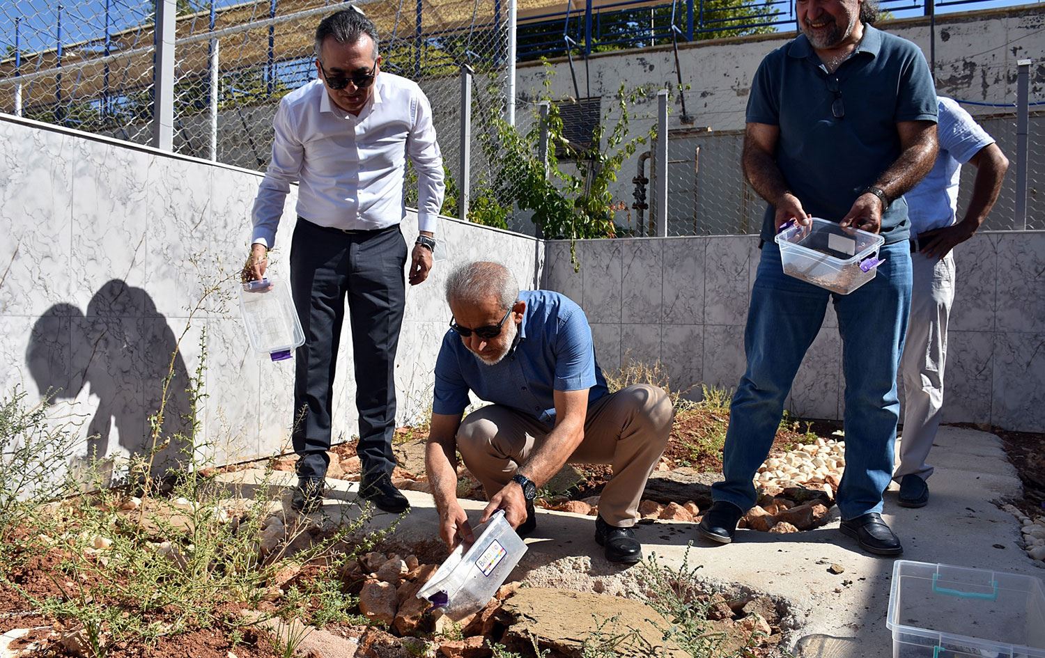 Bilimsel araştırmalarda kullanılan akrepler için özel bahçe yapıldı