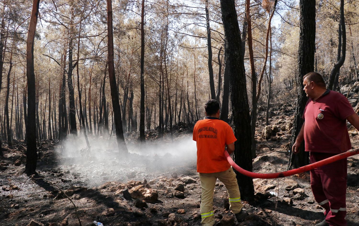 Antalya, Muğla, Mersin, Adana ve Osmaniye afet bölgesi ilan edildi