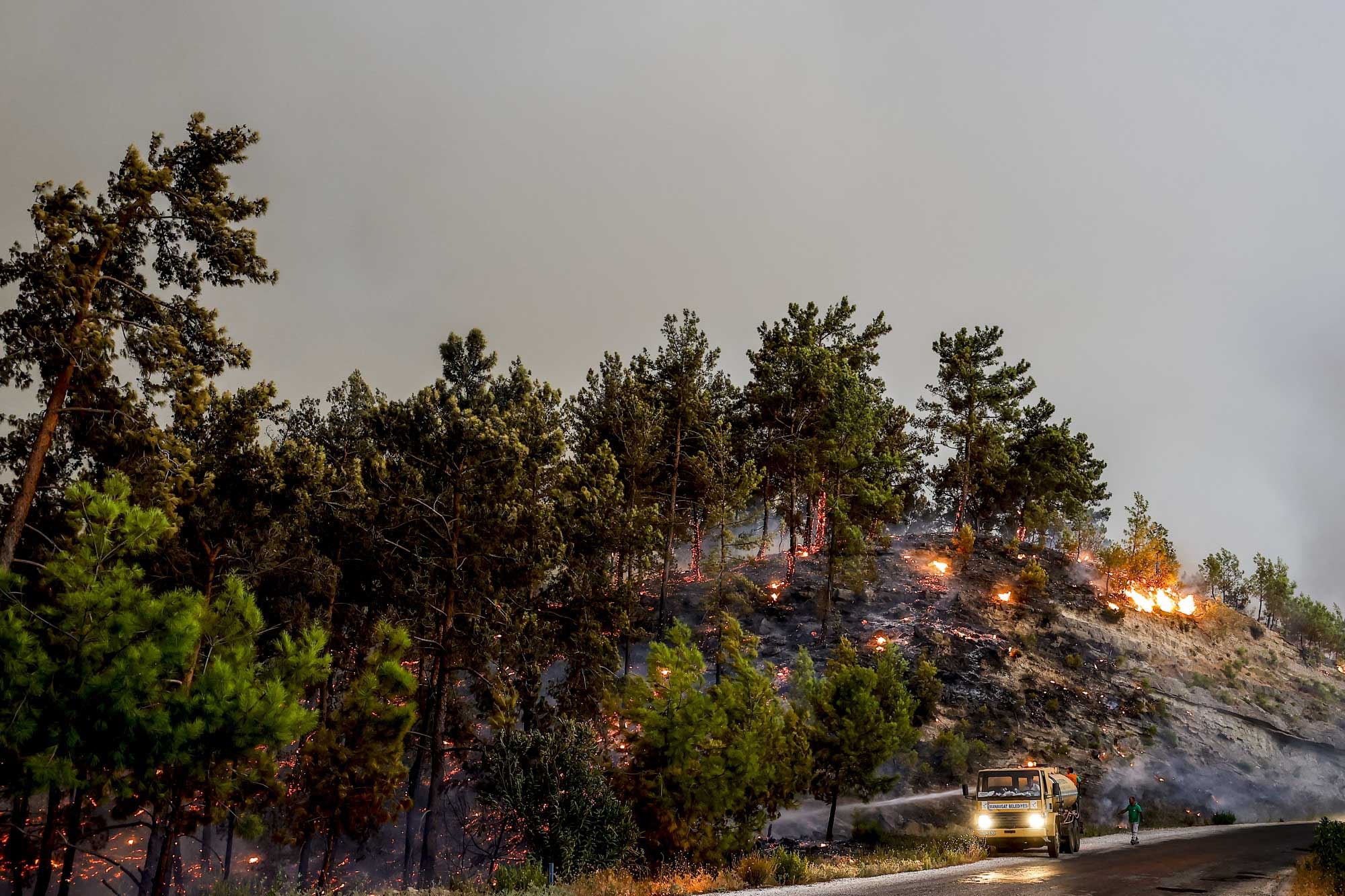 Li 21 bajarên Tirkiye û Bakurê Kurdistanê 71 daristan dişewitin