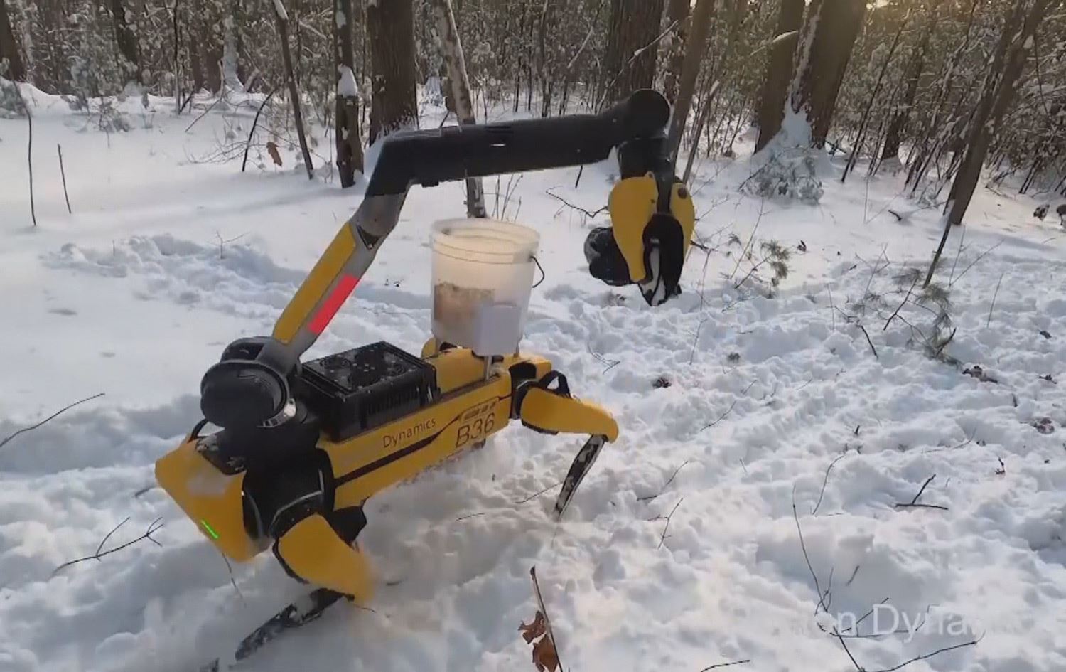 پشکنین بە 'سەگە رۆبۆت' ترسی بۆ بەشێک لە خەڵک دروستکردووە