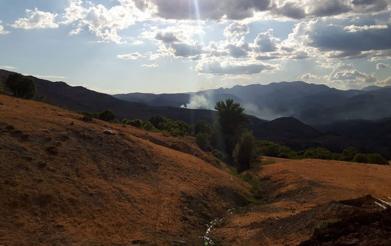 Valilikten Dersim’deki orman yangınları ile ilgili açıklama