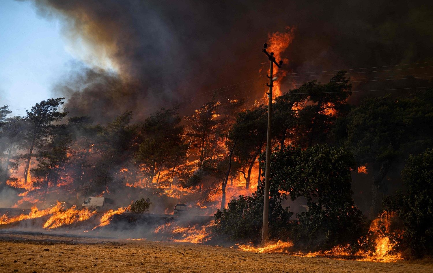 Soylu ziyanên agirê daristanan eşkere kir
