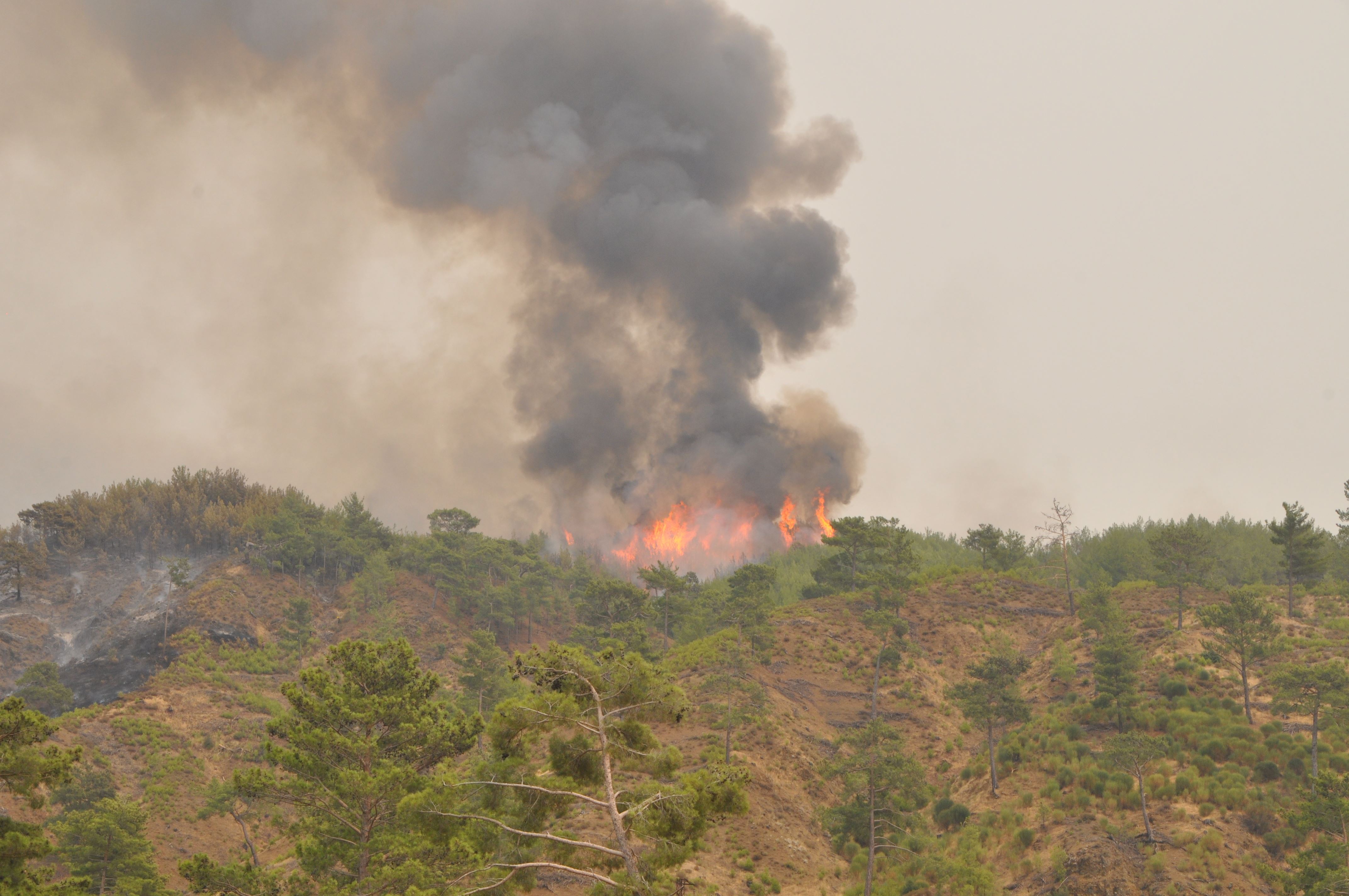Türkiye'de orman yangınları: 14 bölgede yangın devam ediyor