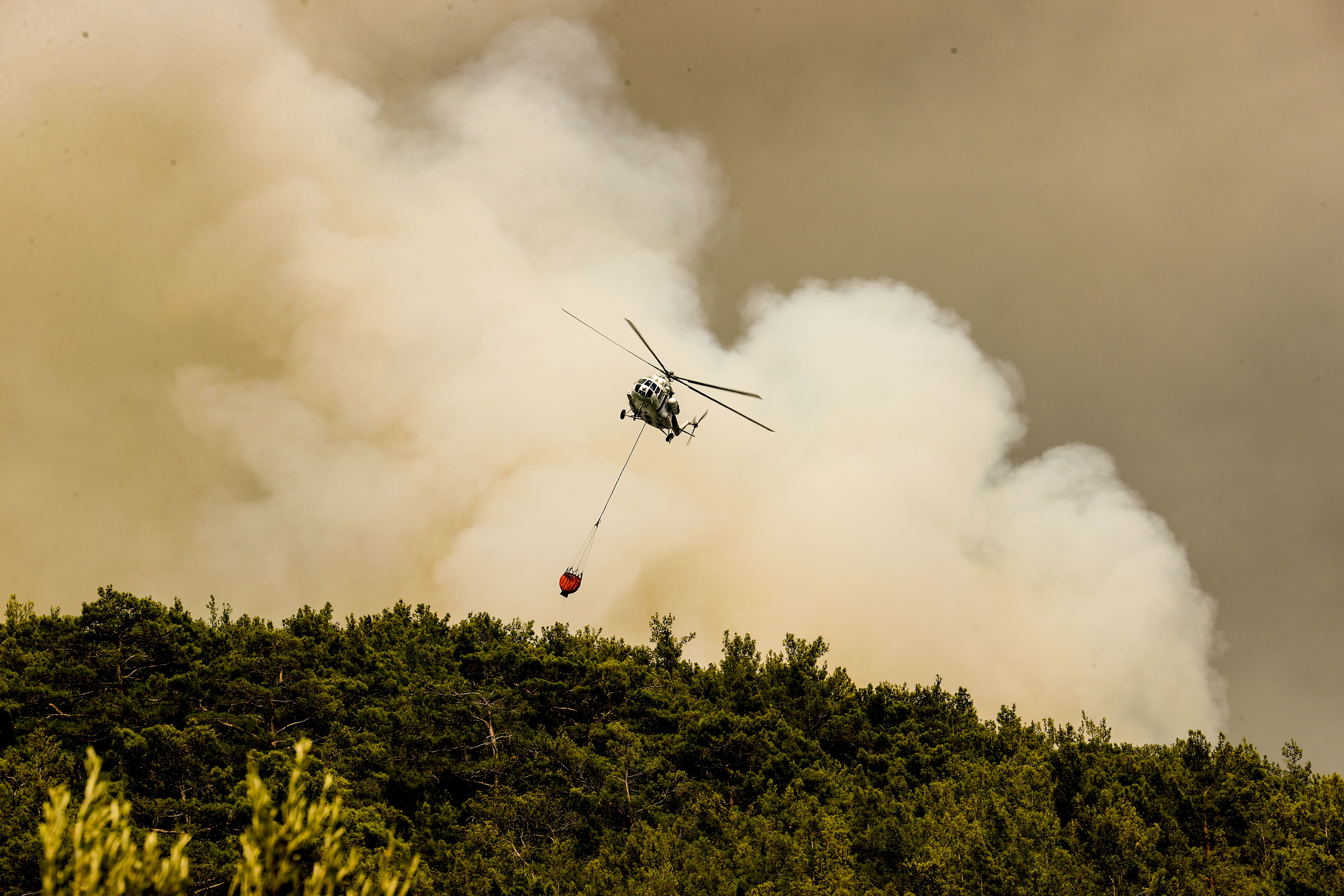 Türkiye’de orman yangınları: 223 yangından 217'si kontrol altına alındı, 6'sı sürüyor
