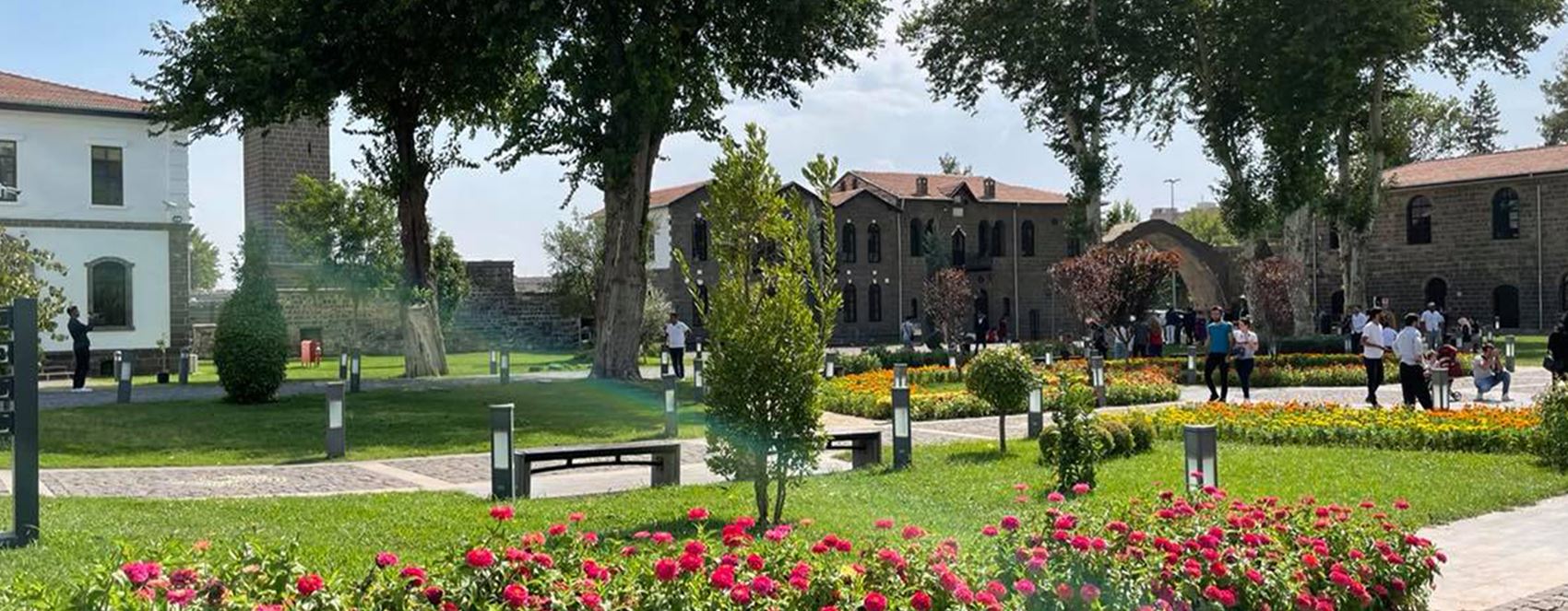 Bi wêneyan; Geştyar serdana cihên dîrokî yên Amedê dikin