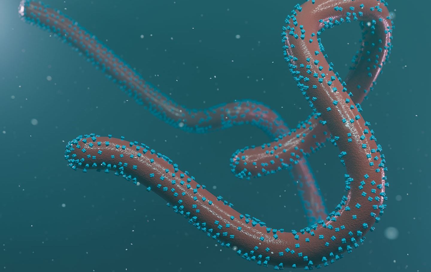 ڤایرۆسێکی کوشندە لە رۆژئاوای ئەفریقیا بڵاودەبێتەوە