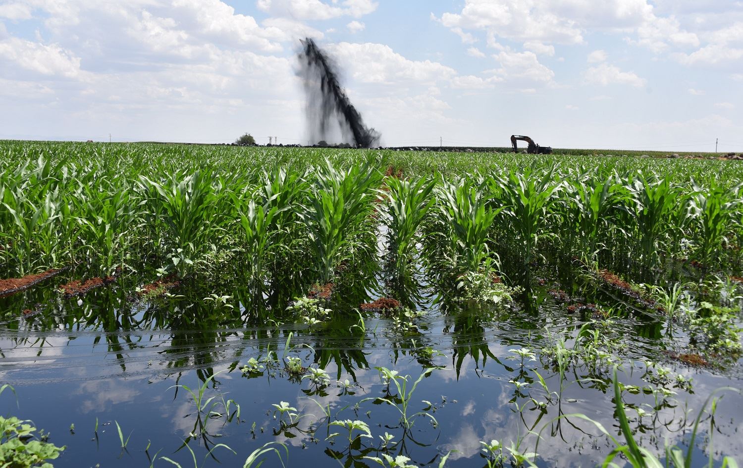 Li Rihayê di xeta boriya petrolê de teqîn çê bû
