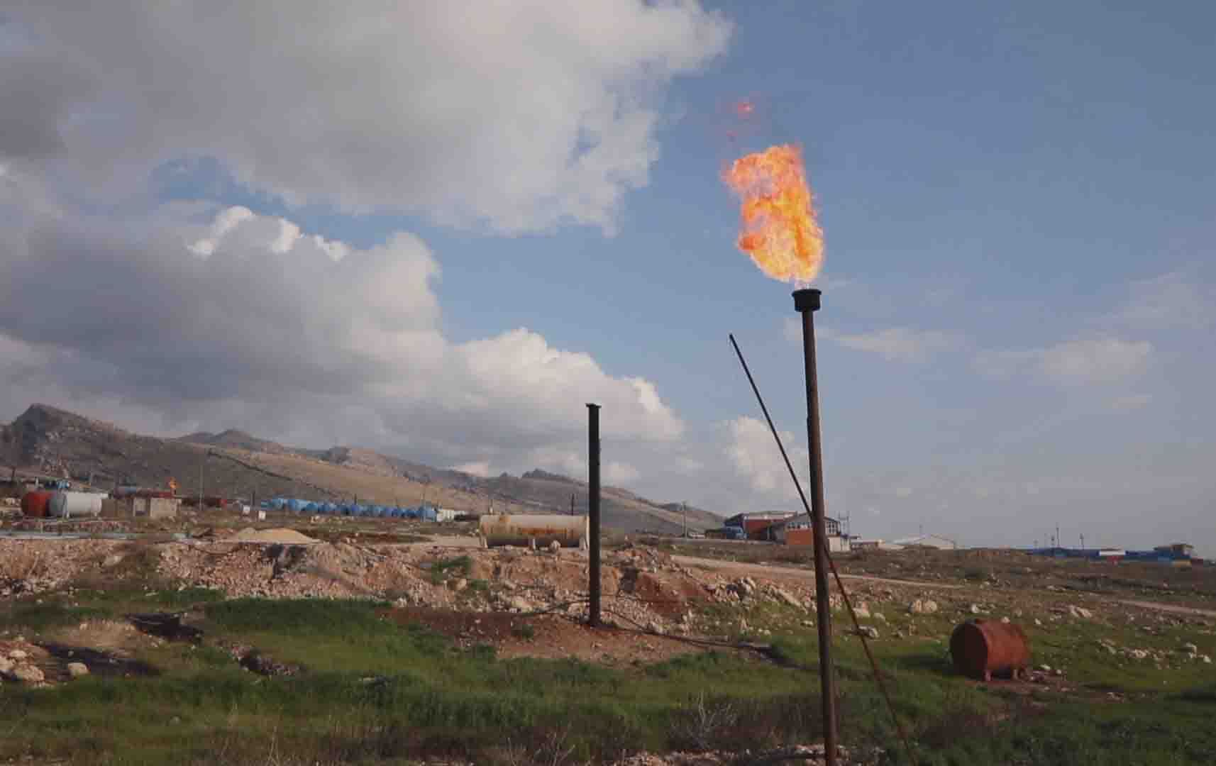 داخستنی پاڵاوگە نایاساییەکان؛ 'ماددەی ژەهراویان تێدایە کە دەبێتە هۆی شێرپەنجە'