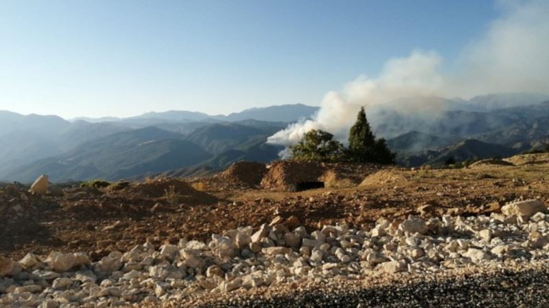 Li Dêrsimê 7 roj in agirê daristanê nayê vemirandin