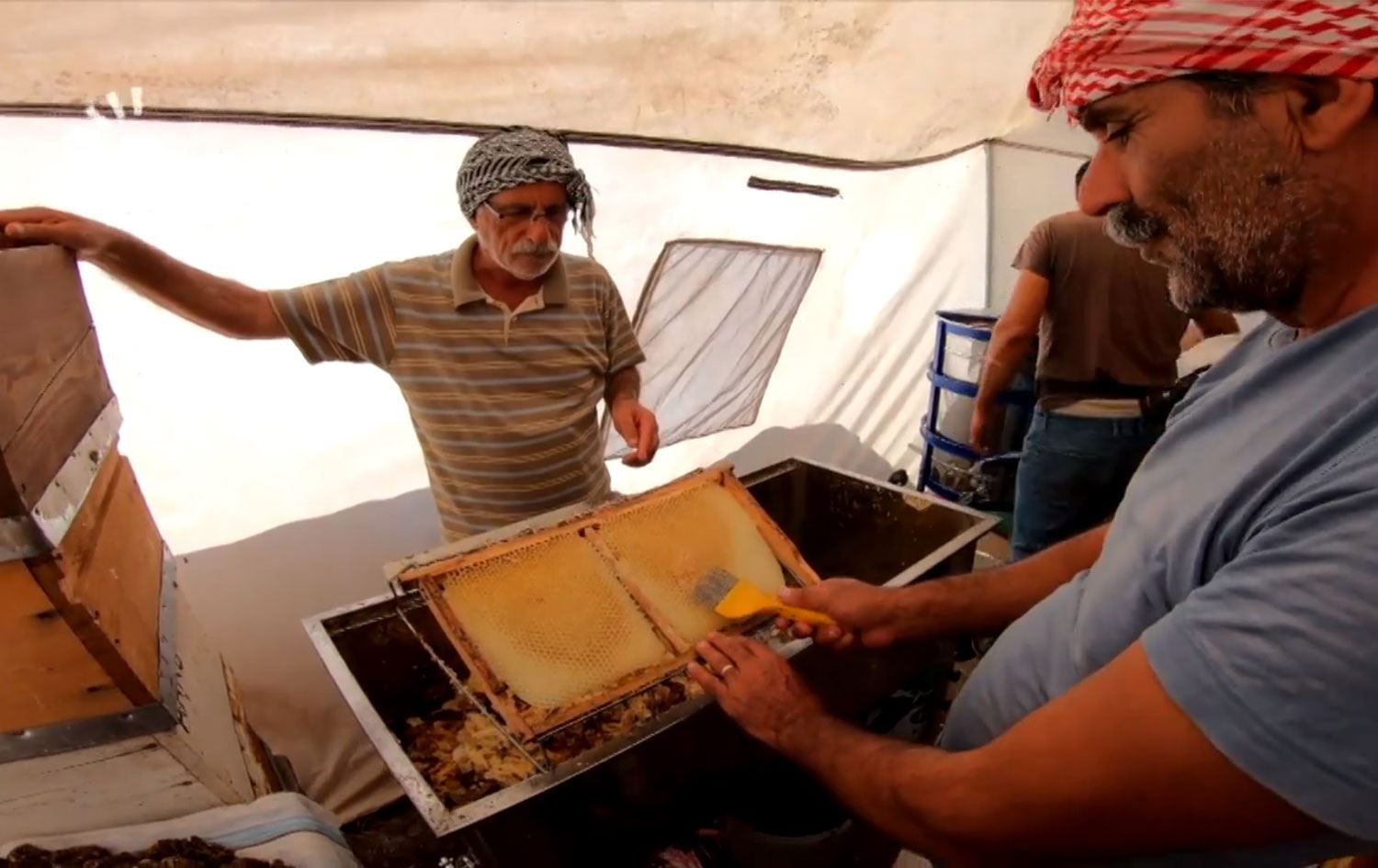 Bal üreticileri kuraklık nedeniyle destek bekliyor