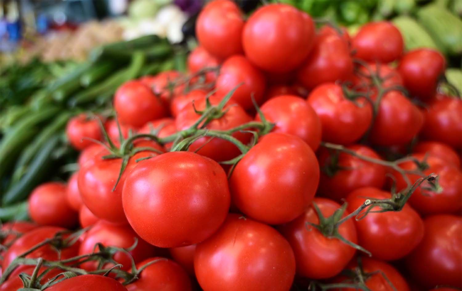 عەلوەی هەولێر: تەماتە گران بووە و هەر کیلۆیەک 750 دیناری چووەتە سەر